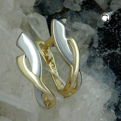 hoop earrings two tone 9k gold - BeautyMax Elite