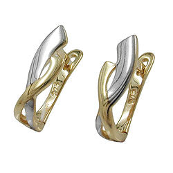 hoop earrings two tone 9k gold - BeautyMax Elite
