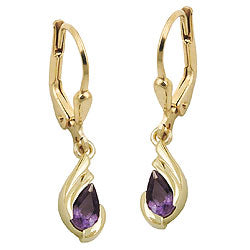 leverback earrings amethyst 9k gold - BeautyMax Elite